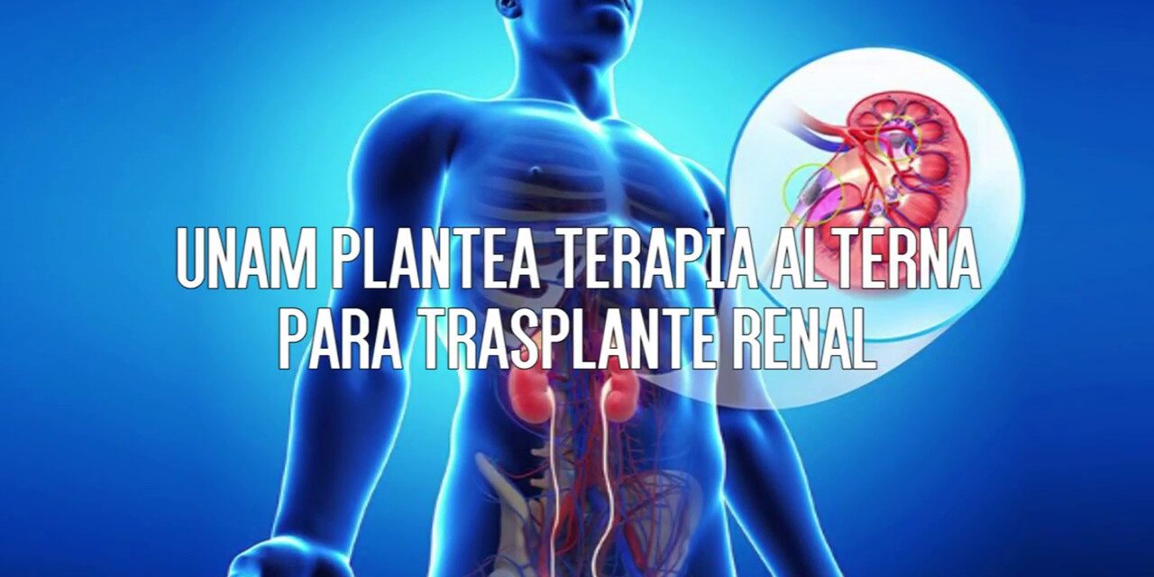 UNAM plantea terapia alterna para trasplante de riñón